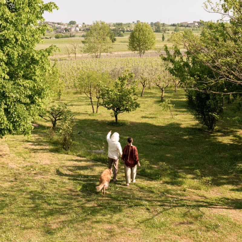 Centro Spirituale Yoga Brescia